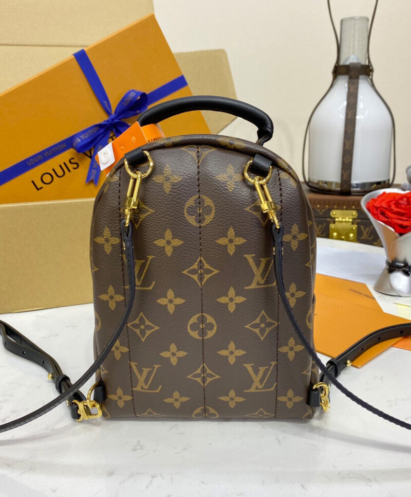 Louis Vuitton Palm Springs Mini M44873 Brown